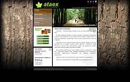Ataex