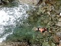 Swimming