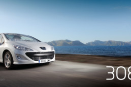 308cc